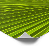 Green Tropical Palm Tree Frond Poster (Ecke)