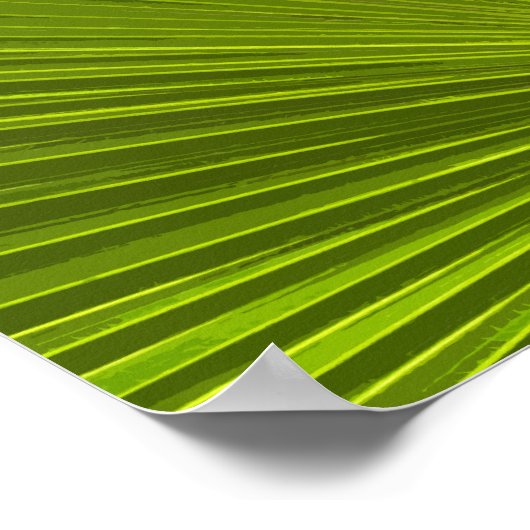 Green Tropical Palm Tree Frond Poster (Ecke)