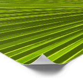 Green Tropical Palm Tree Frond Poster (Ecke)