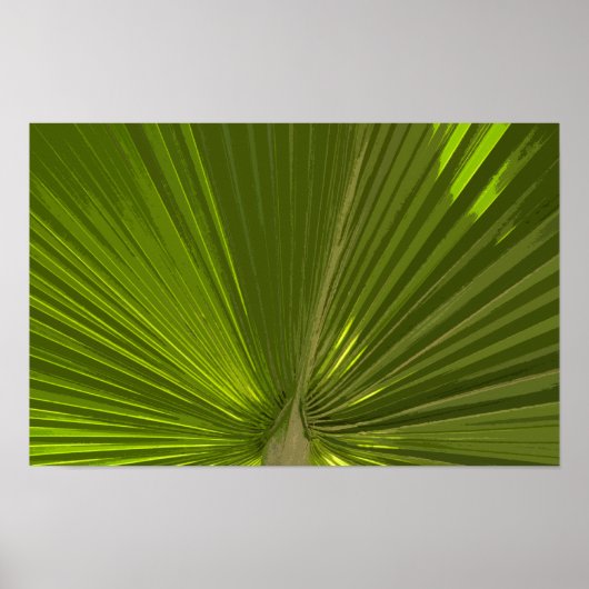 Green Tropical Palm Tree Frond Poster (Vorne)