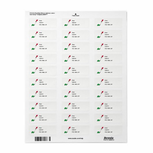 Green Turtle Flying Red Kite Address Labels (Vorne)