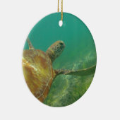 Green-turtle-Great-Barrier-Reef.JPG Keramikornament (Rechts)