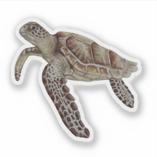 Green Turtle Sticker (Vorderseite)