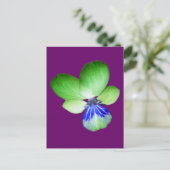 Green und Blue Pansy Postcard Postkarte (Stehend Vorderseite)