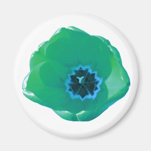 Green und Blue Tulip Magnet