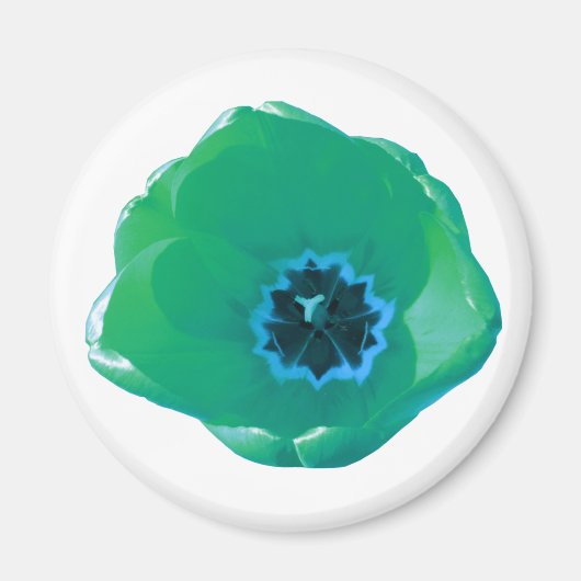 Green und Blue Tulip Magnet (Vorne)