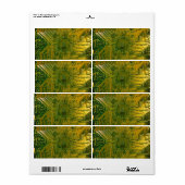 Green und Gold Electronic Computer Circuit Board (Vorne)