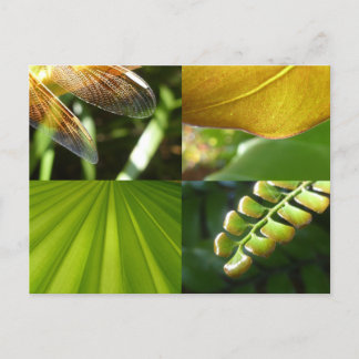 Green und Gold Postcard Postkarte
