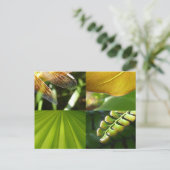 Green und Gold Postcard Postkarte (Stehend Vorderseite)