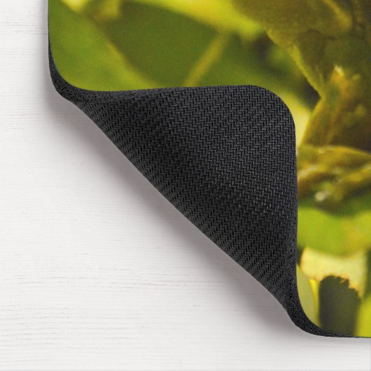 Green und Golden Bell Frog Mousepad (Ecke)