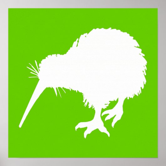 Green und White Kiwi Poster (Vorne)