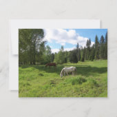 Green Valley Bible Verse Ermutigungskarte Karte (Vorderseite)