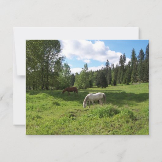 Green Valley Bible Verse Ermutigungskarte Karte (Vorderseite)