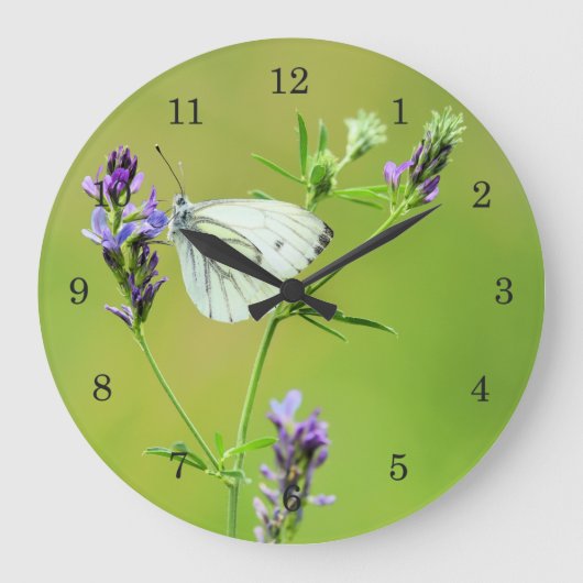 Green Veined White Butterfly Große Wanduhr (Vorderseite)
