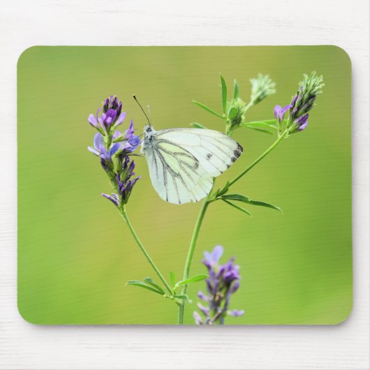Green Veined White Butterfly Mousepad (Vorne)