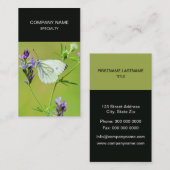 Green Veined White Butterfly Visitenkarte (Vorne/Hinten)