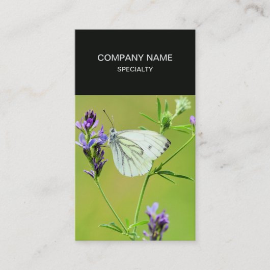 Green Veined White Butterfly Visitenkarte (Vorderseite)