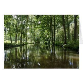 Green Venice Coulon Frankreich