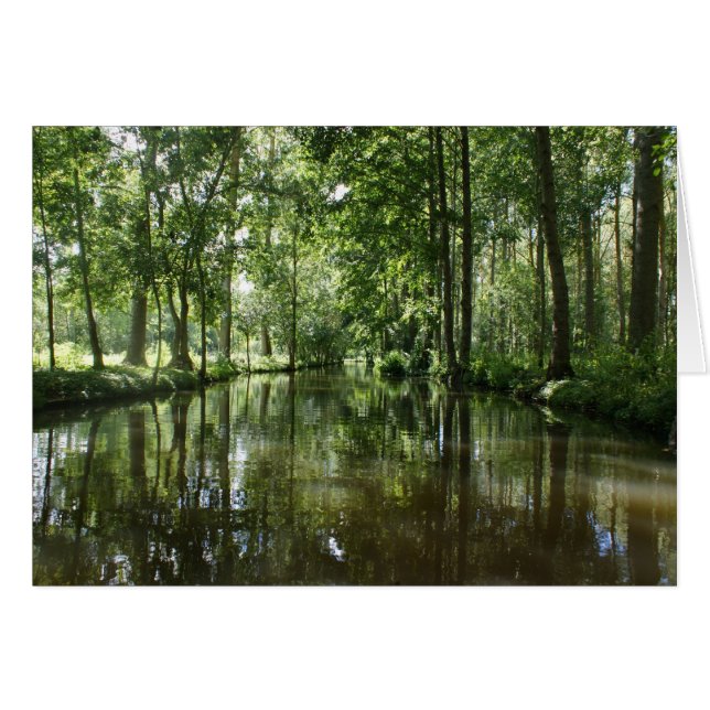 Green Venice Coulon Frankreich (Vorderseite (Horizontal))