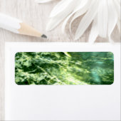 Green Verde Alpi Marble (Insitu)