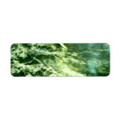 Green Verde Alpi Marble (Vorne)