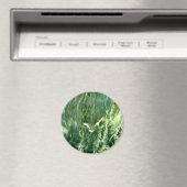 Green Verde Alpi Marble Magnet (In Situ (Geschirrspüler))