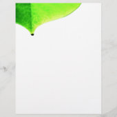 Green Verlass Flyer (Vorne)