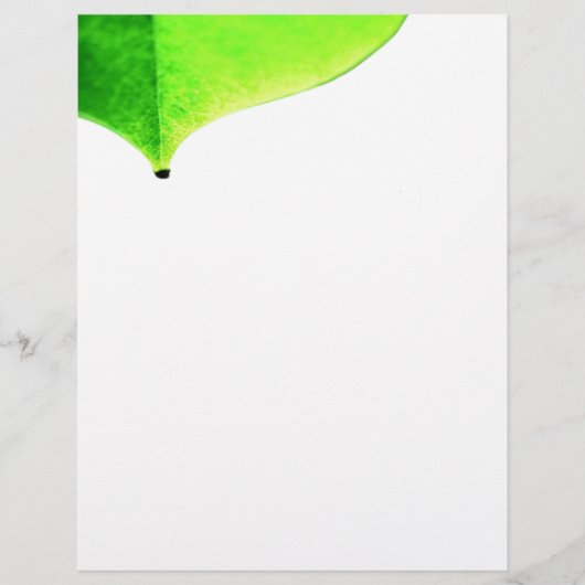 Green Verlass Flyer (Vorne)