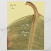 Green Verlass Flyer (Vorne)