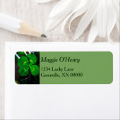 Green Vierblättriges Kleeblatt Lucky Personalisier (Insitu)