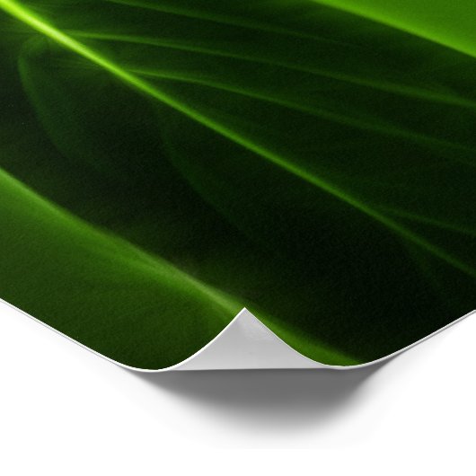 Green Violetear Hummingbird Poster (Ecke)