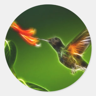 Green Violetear Hummingbird Runder Aufkleber