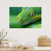 Green Viper Poster (Küche)