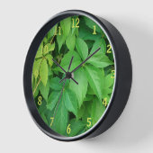 Green Virginia Strampler Foliage Foto Uhr (Winkel)
