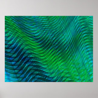 Green Voile Poster