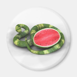 Green Watermelon Snake Magnet
