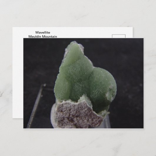 Green Wavellite Post Card Postkarte (Vorne/Hinten)