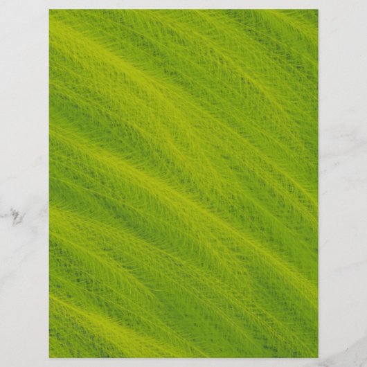 Green Wheat Field Bulk Scrapbook Paper Pages Flyer (Vorne)