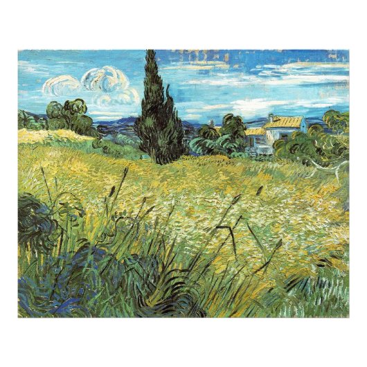 Green Wheat Field Vincent van Gogh Fotodruck (Vorne)