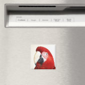 Green Wing Macaw Prinnie Parrot Magnet (In Situ (Geschirrspüler))