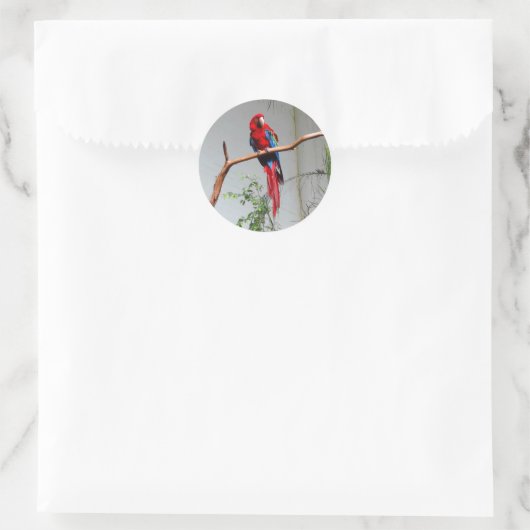 Green-Winged Macaw #2 Stickers (Tasche)