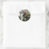 Green-Winged Macaw #4 Stickers (Tasche)