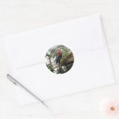 Green-Winged Macaw #4 Stickers (Umschlag)