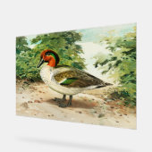 Green-winged teal acrylschild (Winkel)