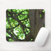 Green Wisteria Pergola Tree Nature Fotografy Mousepad (Mit Mouse)