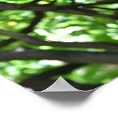 Green Wisteria Pergola Tree Nature Fotografy Poster (Ecke)