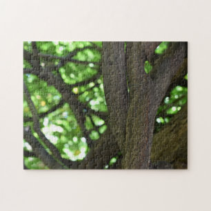 Green Wisteria Pergola Tree Nature Fotografy Puzzle
