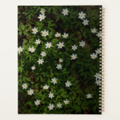 Green Woodland Dreams Planner Planer (Rückseite)