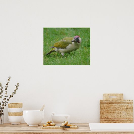 Green Woodpecker Poster (Küche)