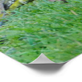 Green Woodpecker Poster (Ecke)